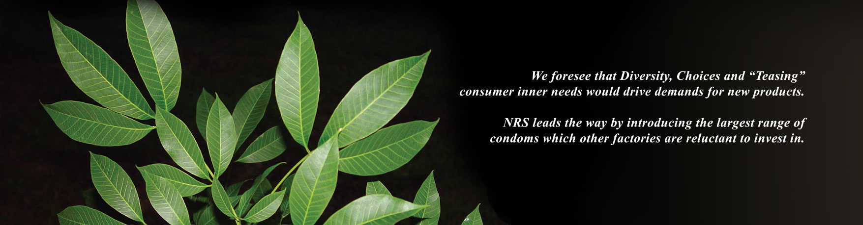 About us banner